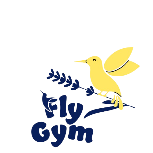 Fly Gym